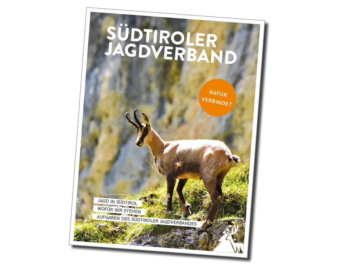 SJV Broschüre 2021