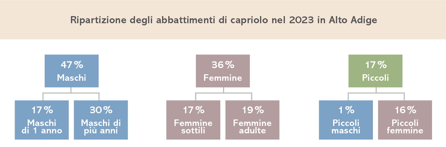 Rehe Aufteilung Strecke 2023 ITA