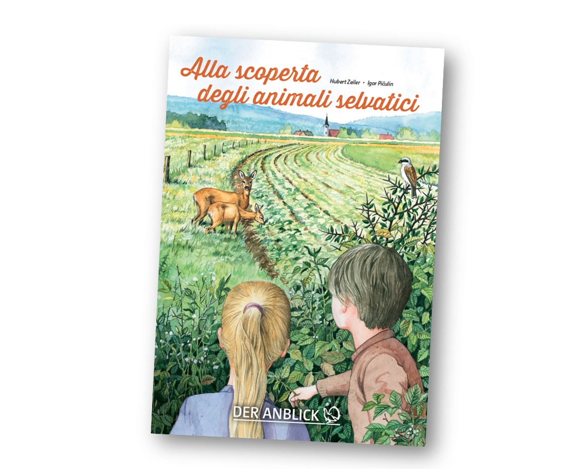 Alla scoperta degli animali selvatici Cover Ital