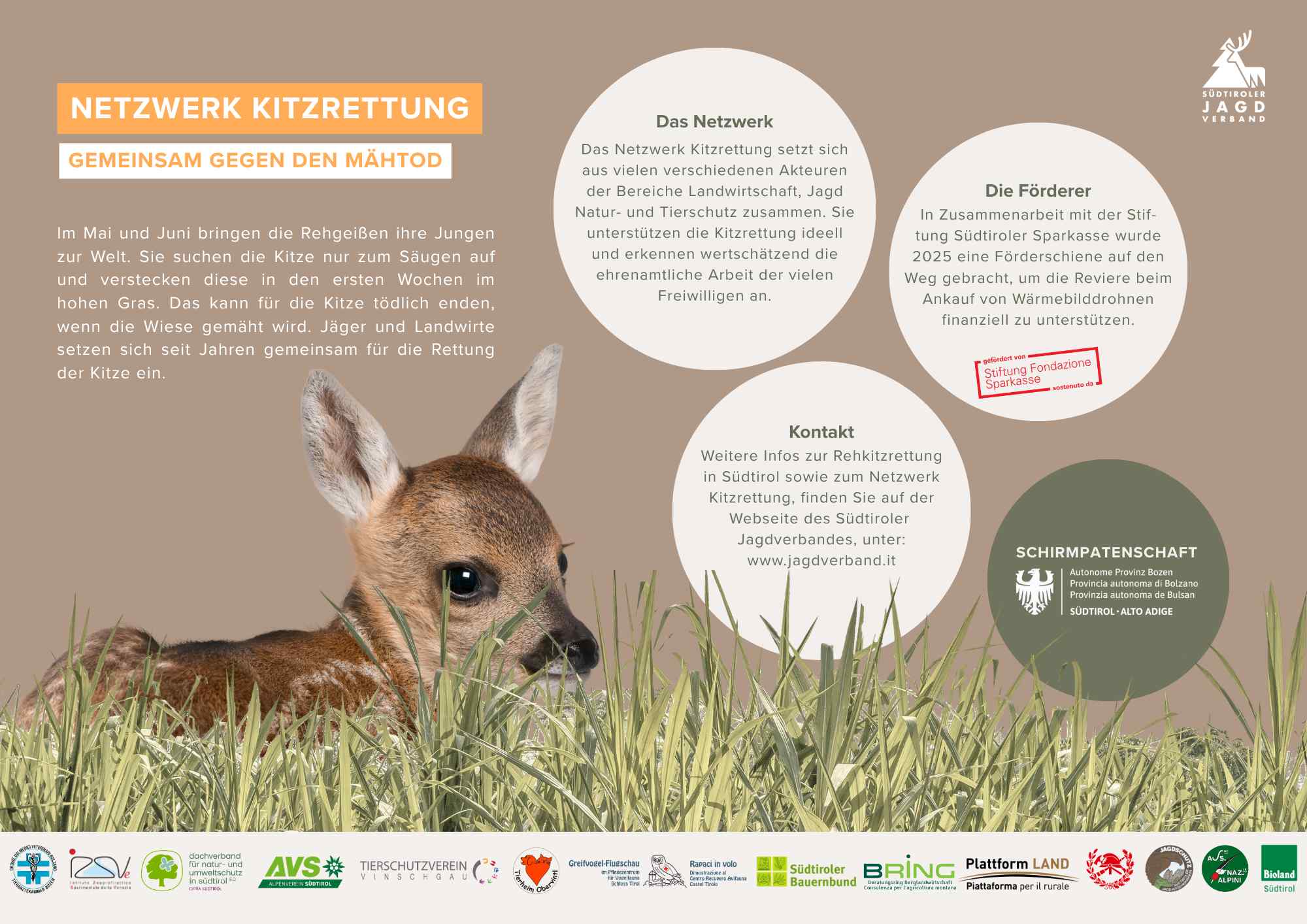 Flyer-Netzwerk-Kitzrettung-2026-de