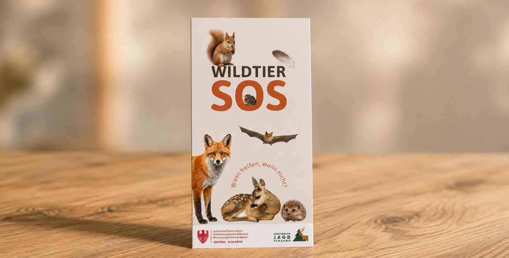 Broschüre WildtierSOS mockup